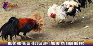 thuoc nho ga da