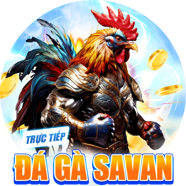 truc tiep da ga SAVAN
